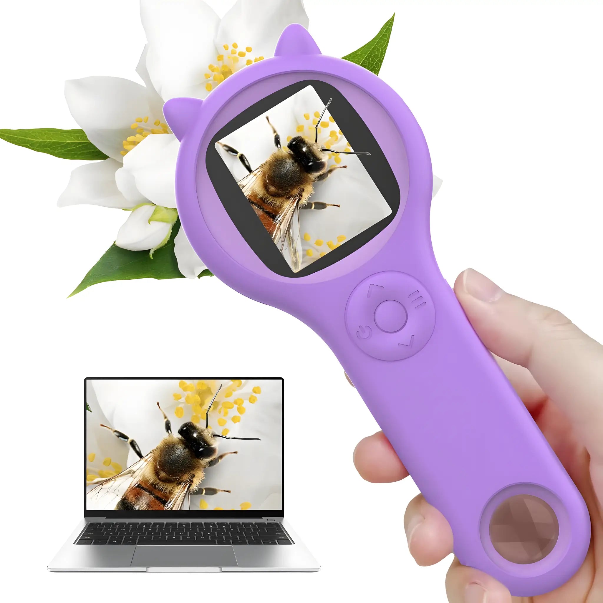 Kids handheld digital microscope showing bee on flower connected to laptop display